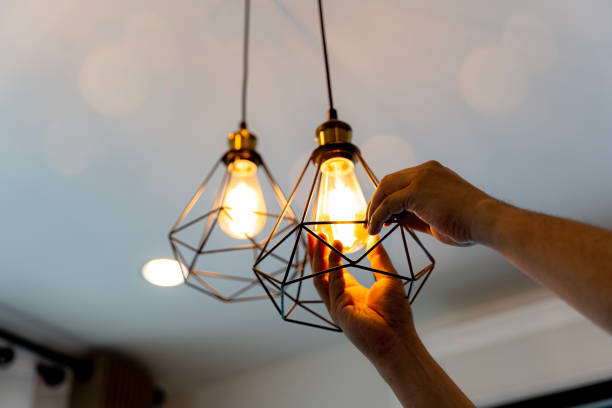 Best Home Electrical Repair  in Bourbon, MO